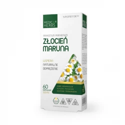 Import produktów XML malowia.pl